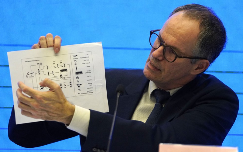 Cum a apărut virusul Sars-Cov-2 și cum s-a transmis la oameni? Ipotezele experților OMS, după vizita în China