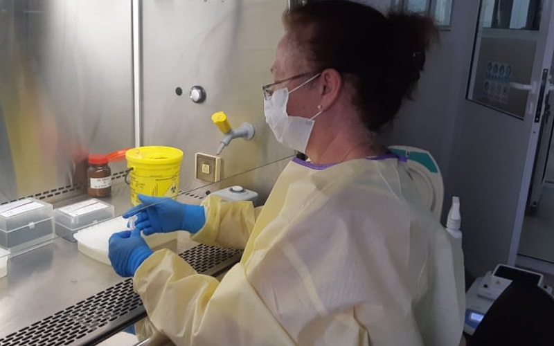 260 de persoane s-au infectat cu Sars-Cov-2, iar 17 au decedat din cauza infecției. Niciun lucrător medical nu a fost testat pozitiv