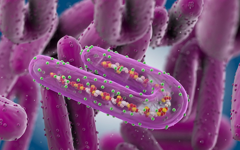 NEXT PANDEMIC: Virusul Marburg omoară 9 din 10 infectați. Se numără printe cele mai letale virusuri din lume. Poate acest virus să provoace următoarea pandemie?