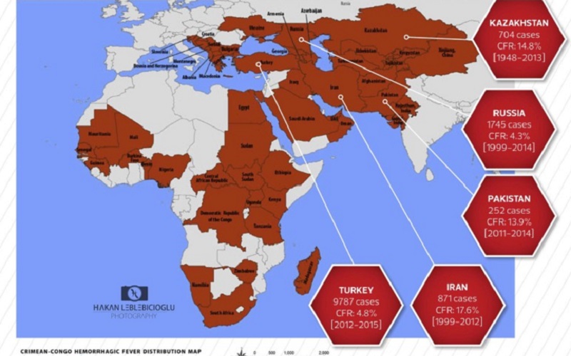 NEXT PANDEMIC: Ce este febra hemoragică Crimeea-Congo. Muscătura mortală a căpușei infectate