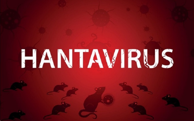 NEXT PANDEMIC: Ce este Hantavirusul și de ce este periculos pentru oameni. Simptomele pot fi confundate cu cele ale SARS-CoV-2