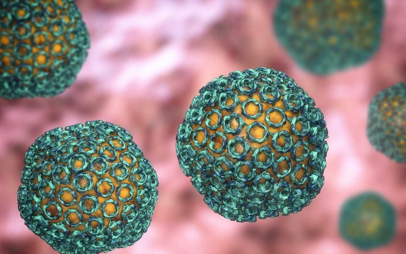 NEXT PANDEMIC/ Pot țânțarii și schimbările climatice să declașeze o nouă pandemie? Ce este febra Rift Valley și de ce este clasificată ca agent de bioterorism de clasa A