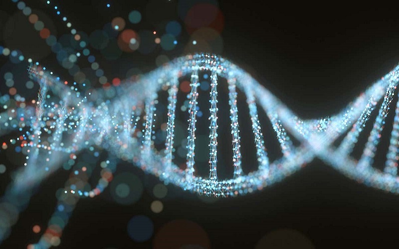 Au fost emise primele recomandări globale privind editarea genomului uman pentru a avansa în lupta cu maladiile 