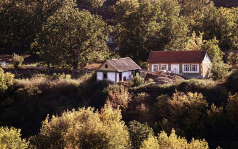 Specificul vaccinării anti-COVID la țară | Studiu de caz la Hănăsenii Noi, raionul Leova 