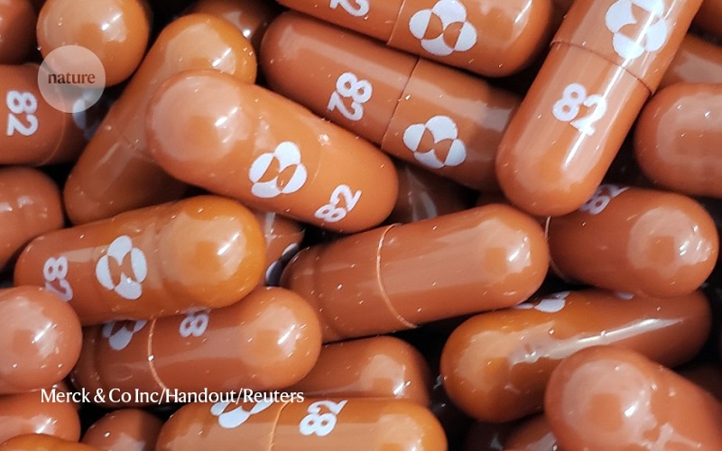 EMA începe revizuirea continuă a molnupiravirului, prima pastilă dezvoltată împotriva replicării virusului SARS-COV-2