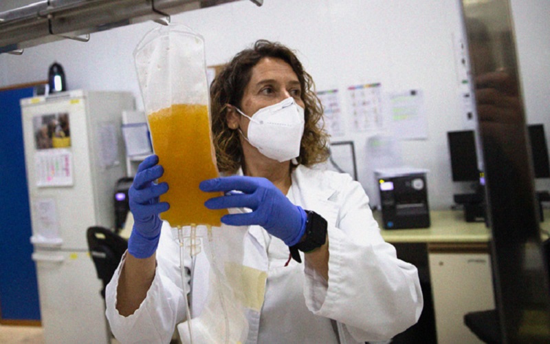 Plasma convalesentă în COVID-19: OMS a emis o recomandare împotriva utilizării acesteia, dar părerile rămân împărțite. Argumentele Pro și Contra