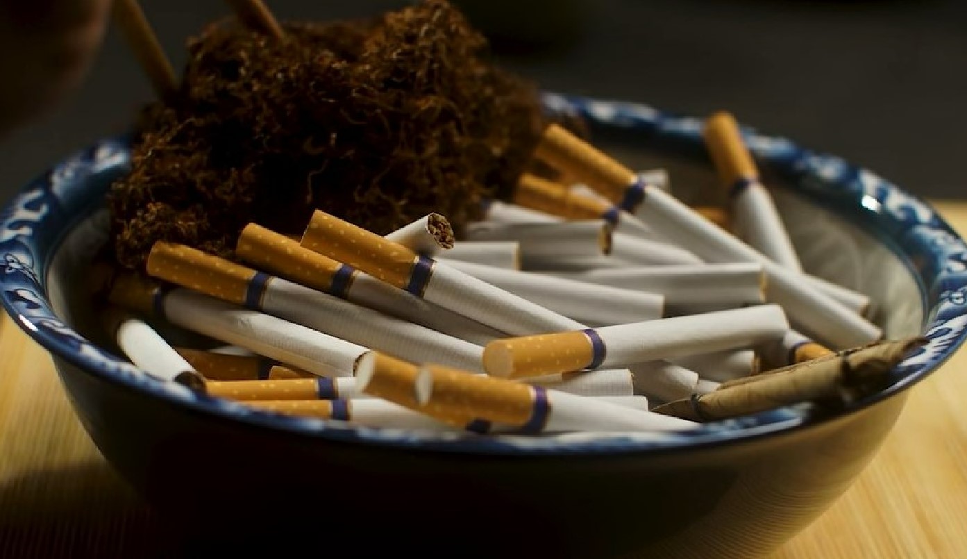 VIDEO//Avem nevoie de alimente, nu de tutun. Republica Moldova rezistă la presiunile de extindere a cultivării tutunului