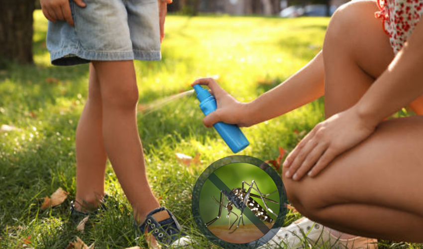 Măsuri de protecție împotriva bolilor transmise de înțepătura de țânțar. Ce faci când călătorești în zone cu risc de infectare 