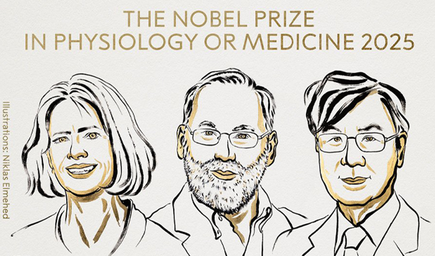 Premiul Nobel pentru Medicină 2025: cum poate fi reprogramat sistemul imunitar pentru a vindeca bolile autoimune și cancerul