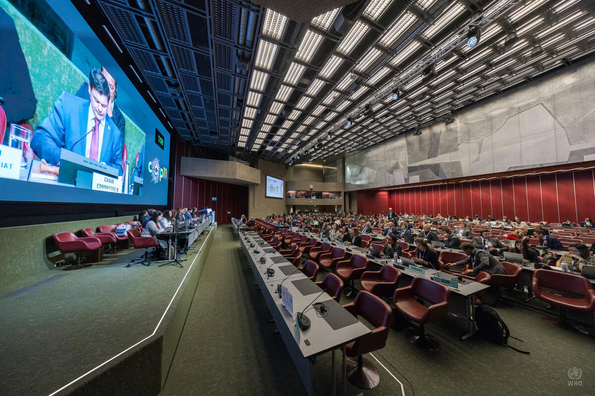 COP11 la microscop: Explicăm deciziile adoptate la Geneva și cum schimbă acestea politicile pentru controlul tutunului