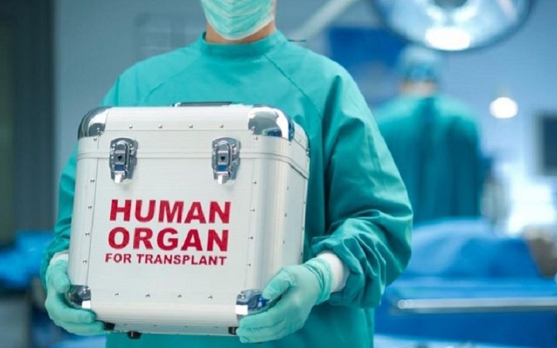 In 2017, Republic of Moldova lost eight organ donors who could have saved lives, because of bureaucracy and interests 