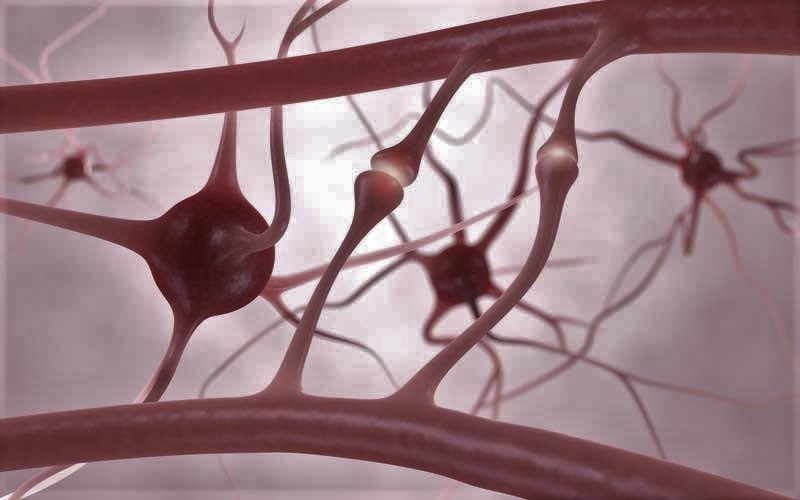 Revizuire de urgență: medicamentul Zinbryta va fi retras de pe piața europeană, după mai multe cazuri grave de inflamație a creierului