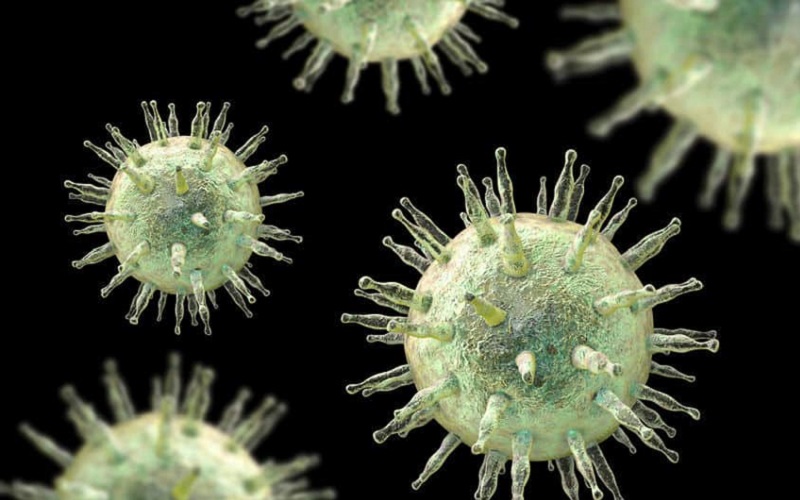 Virusul care provoacă boala sărutului, responsabil pentru declanșarea a șapte maladii grave