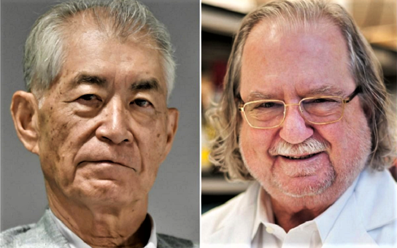 Lupta împotriva cancerului: ce înseamnă descoperirea pentru care s-a dat premiul Nobel în Medicină și de ce contează atât de mult