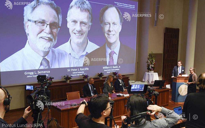 Câștigătorii Premiului Nobel pentru Medicină 2019
