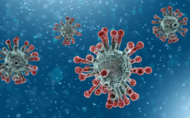 Organizaţia Mondială a Sănătăţii a dat un nume oficial coronavirusului