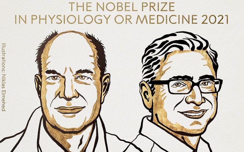 Premiul Nobel pentru fiziologie sau medicină 2021, acordat pentru descoperirile receptorilor de temperatură și atingere