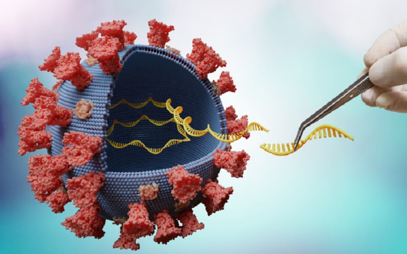 Чем отличаются и чем похожи ДНК-и мРНК-вакцины