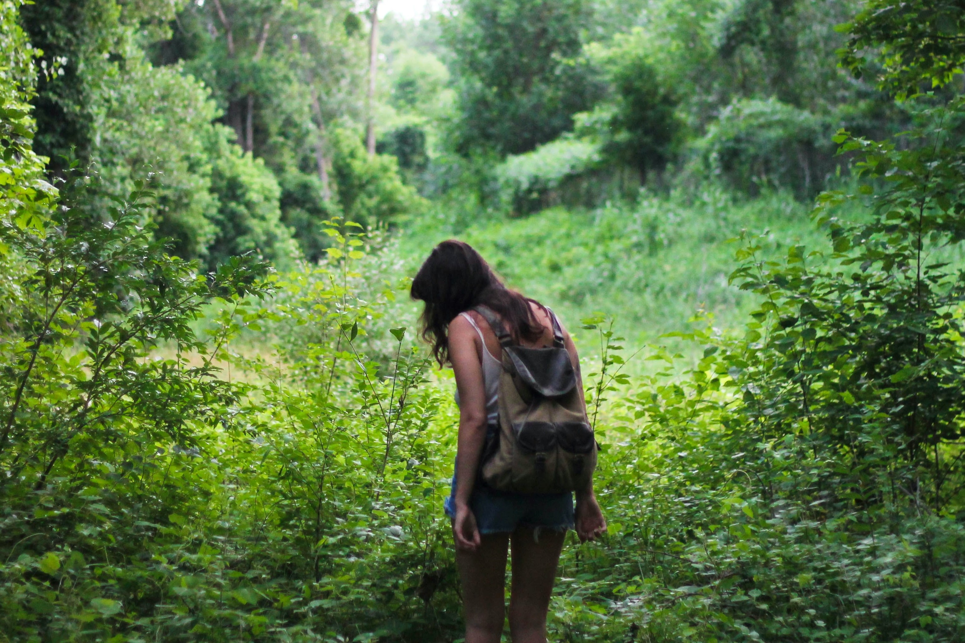 Unul din șase moldoveni este alergic la ambrozie