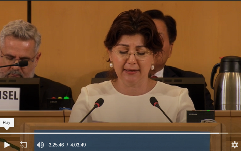 Silvia Radu, la cea de-a 72 Adunare Mondială a Sănătății: moldovenii trăiesc mai mult cu 2 ani, pentru că Guvernul a luat măsuri complexe