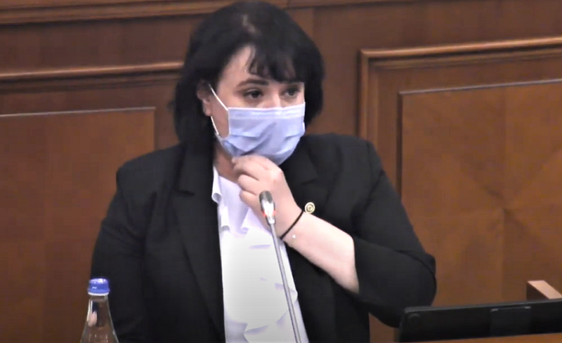 Sistemul medical era bolnav de corupție, iar Covid l-a pus la pământ, ca pe un pacient neglijat: replicile dintre Viorica Dumbrăveanu și deputații care i-au pregătit „capitularea” 