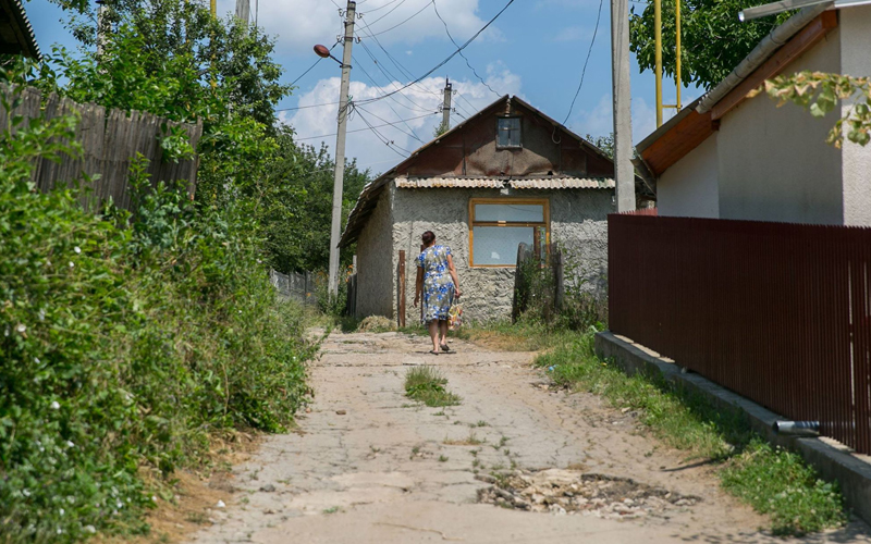 O gâscă pentru un doctor 